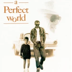 Perfect World Poster