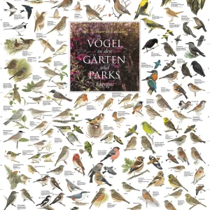 Vögel aus den Gärten und Parks Europas Poster laminiert