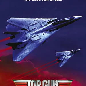 Top Gun Poster I Feel The Need
