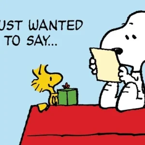 Postkarte Peanuts - I just wanted to say...