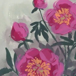 Pinke Pfingstrosen I